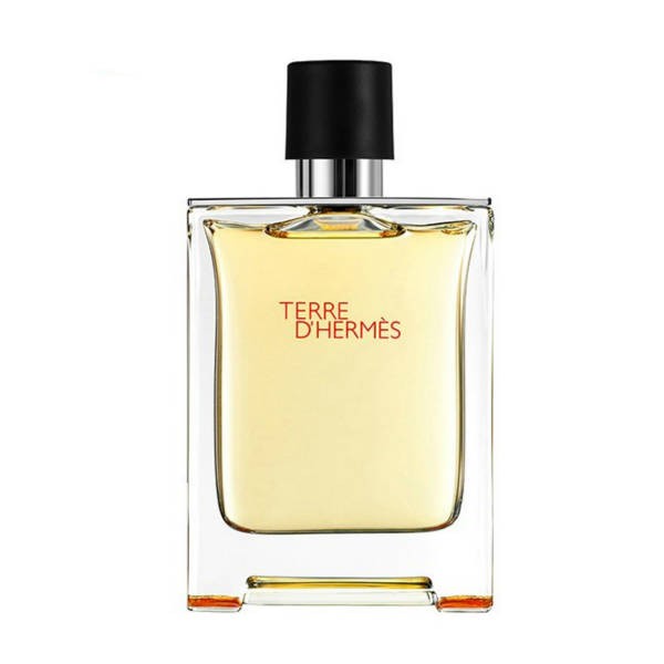 ادو تويلت مردانه هرمس مدل Terre De Hermes کد 10452 perfume