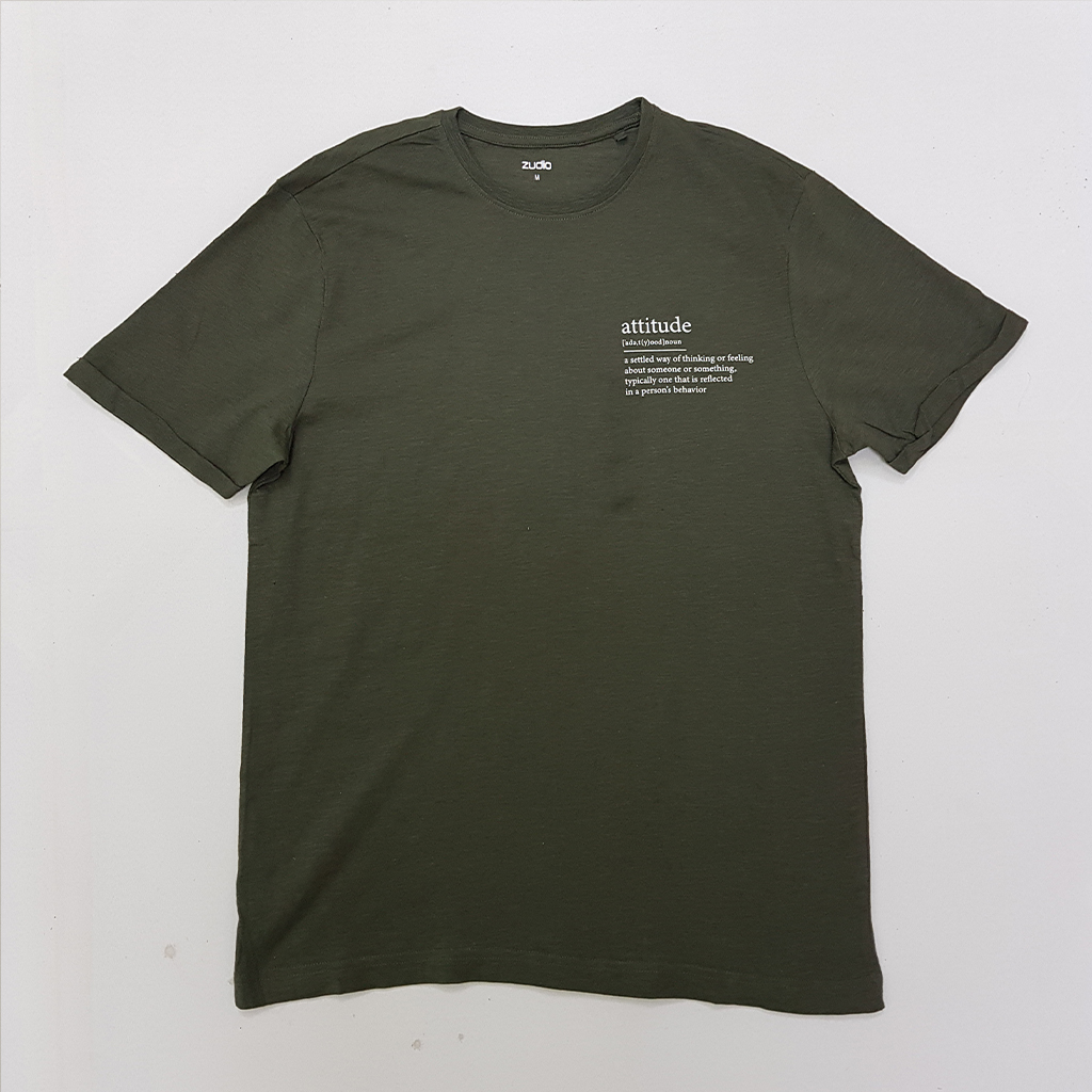 تی شرت مردانه 24172 مارک ZUDIO