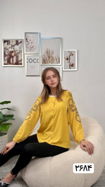 شومیز مجلسی زنانه کد 417497