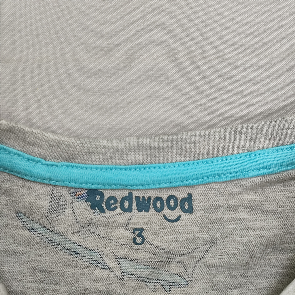 تی شرت پسرانه 28185 سایز 2 تا 10 سال مارک RedWOOD
